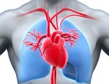 Cuore-coronarografia
