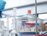Scientist in lab