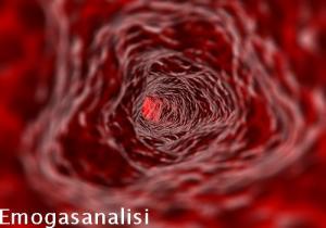 emogasanalisi