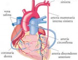 images[1]