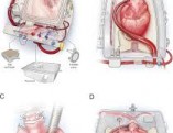 images[9]