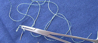 immagine suture