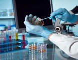 laboratorio_analisi