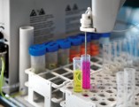 laboratorio-provette-analisi1[1]