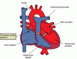 pfo_defect[1]