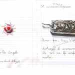 De Angelis Antonio