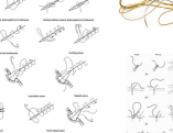 suture